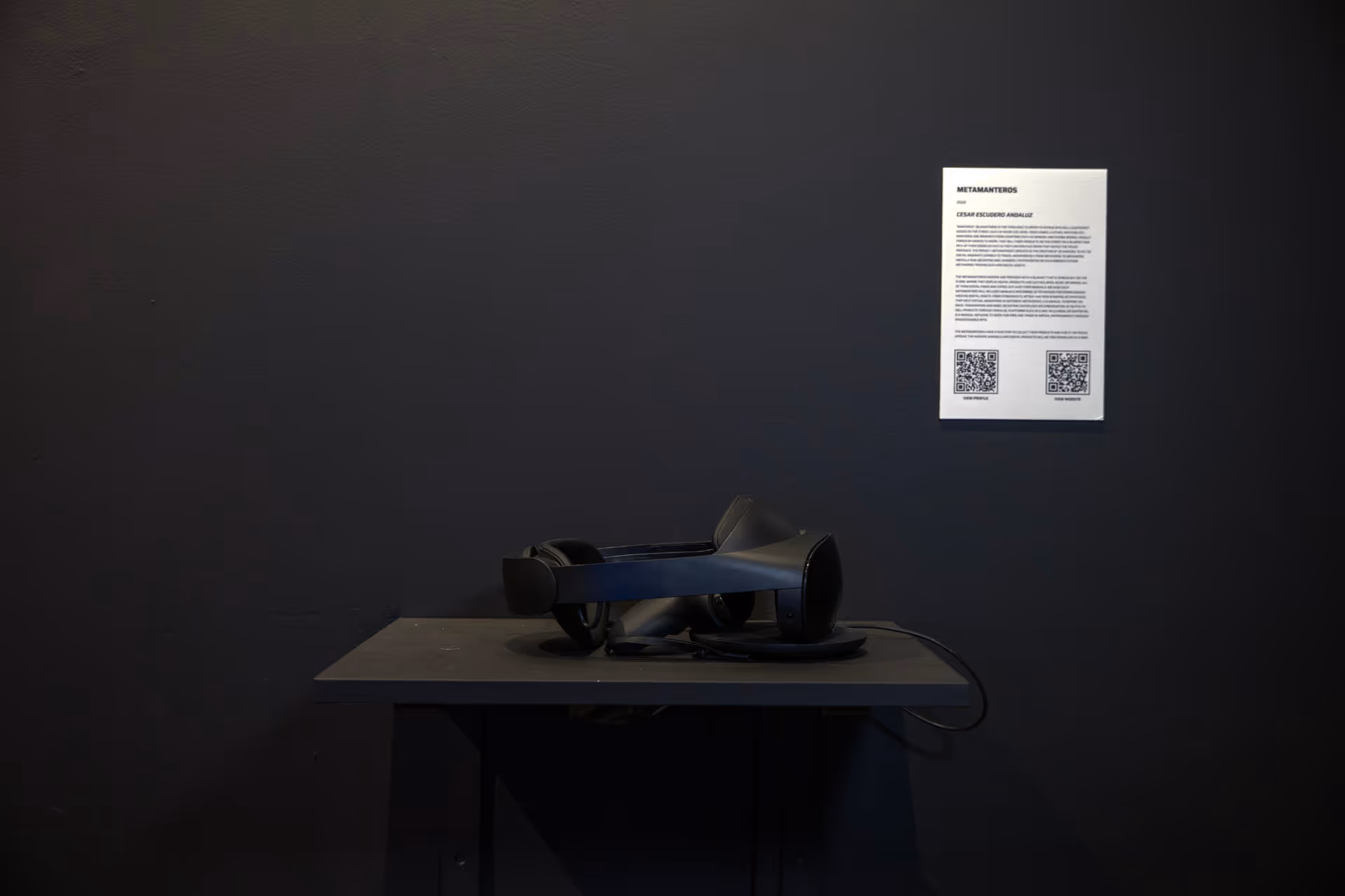 Photograph by Gustavo P&eacute;rez. Metamanteros by C&eacute;sar Escudero Andaluz, 2022.